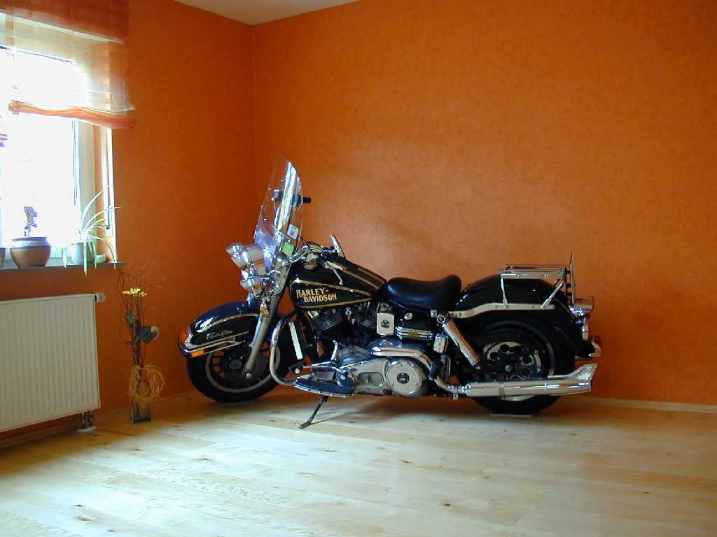 Harley auf Landhausdielen Birke astig versiegelt
